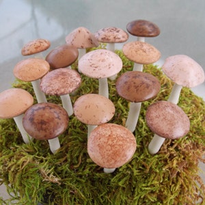 May include: A collection of handcrafted mushroom figurines with varying shades of brown and tan caps, set amidst a bed of vibrant green moss. The mushroom stems are white. These decorative items are ideal for home decor.