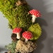 see more listings in the natural mushrooms    NAT section