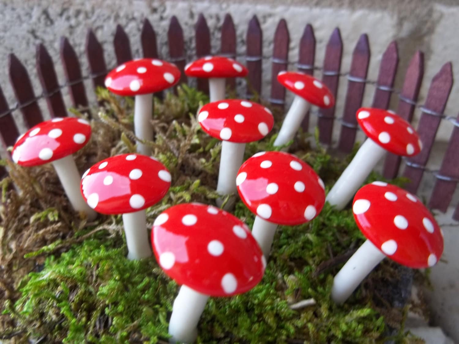 FREE Shipping 15 miniature mushrooms fairy garden miniatures terrarium mad hatter tea party alice in wonderland theme wedding favors moss