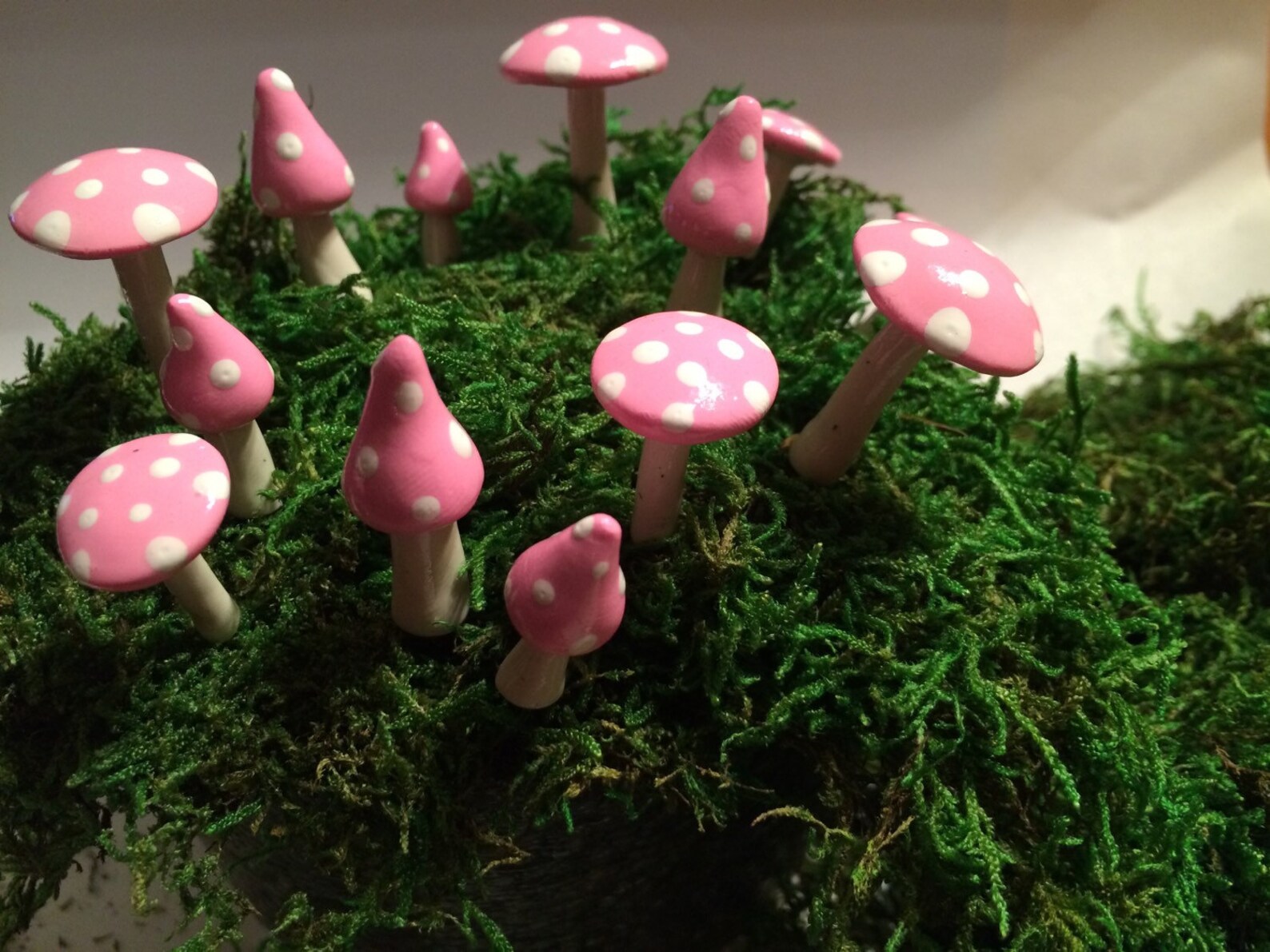 Fairy Mushroom Ring Assorted Sizes and Shapes 13 Pieces Etsy