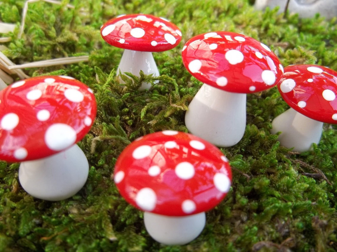 Mad Hatter Tea Party Favor Fairy Garden Mushrooms Set of 20 Short ...