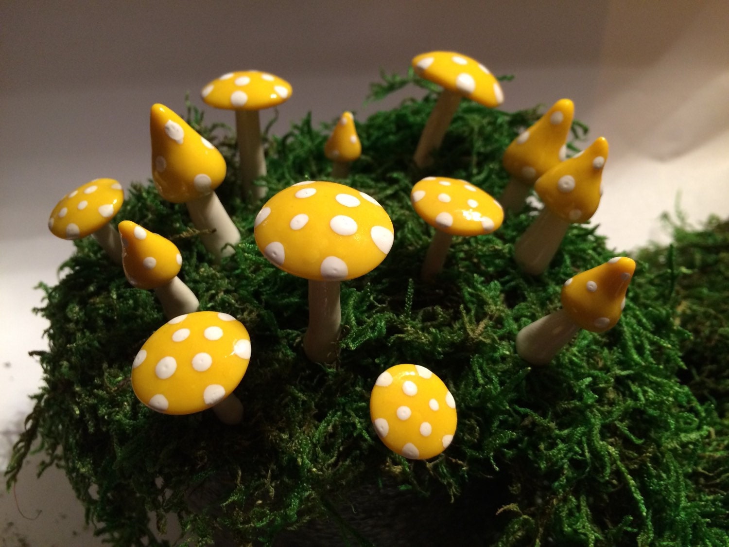 Fairy Mushroom Ring Assorted Sizes and Shapes 13 Pieces Etsy