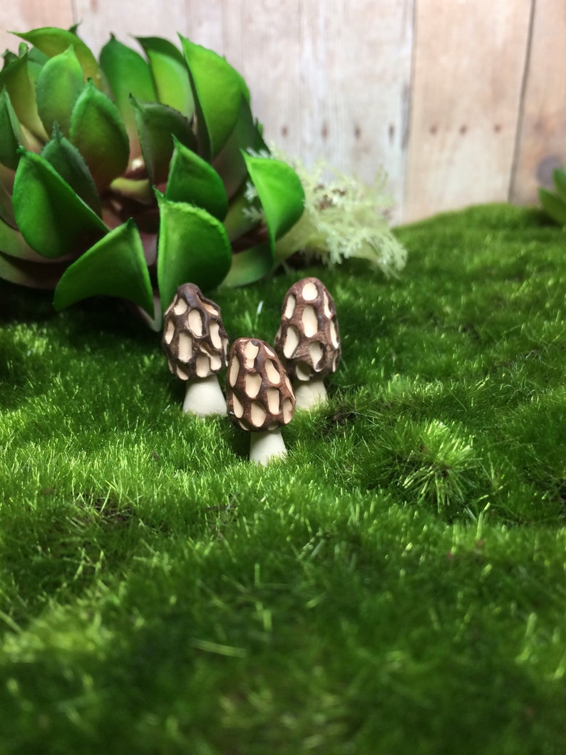 5 Terrarium Mushrooms Fairy Garden Morel Mushrooms Handmade Etsy