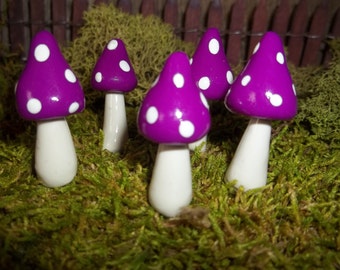 Fairy Garden mushrooms set of 5 terrarium gnome pixie woodland Free Shipping outdoor garden decor