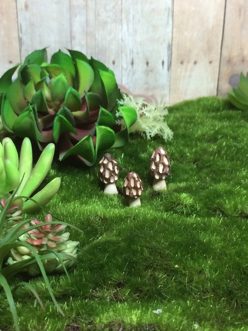 5 Terrarium Mushrooms Fairy Garden Morel Mushrooms Handmade Etsy