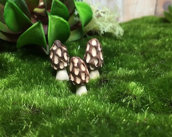 15 Terrarium accessories mushrooms fairy garden Morel handmade woodland  wedding favors container garden picks morrel morell wild mushroom
