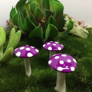 May include: Three miniature purple mushrooms with white polka dots and white stems are arranged on a bed of green moss. A large green succulent plant is in the background, creating a whimsical, fairy-tale scene.