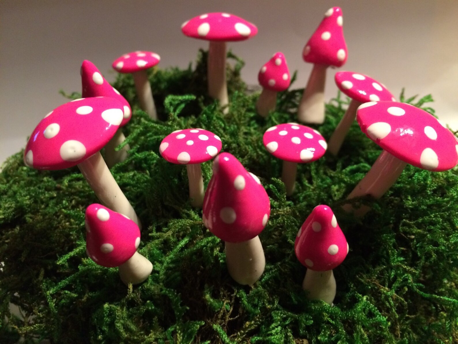 Fairy Mushroom Ring Assorted Sizes and Shapes 13 Pieces Etsy