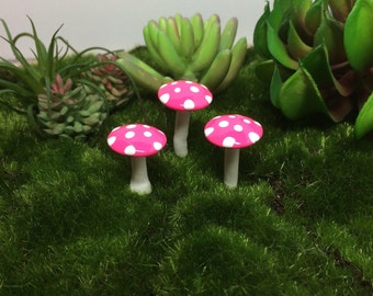 Succulent garden mushrooms fairy set of 3 miniature terrarium toadstool pixie or gnome woodland accessories