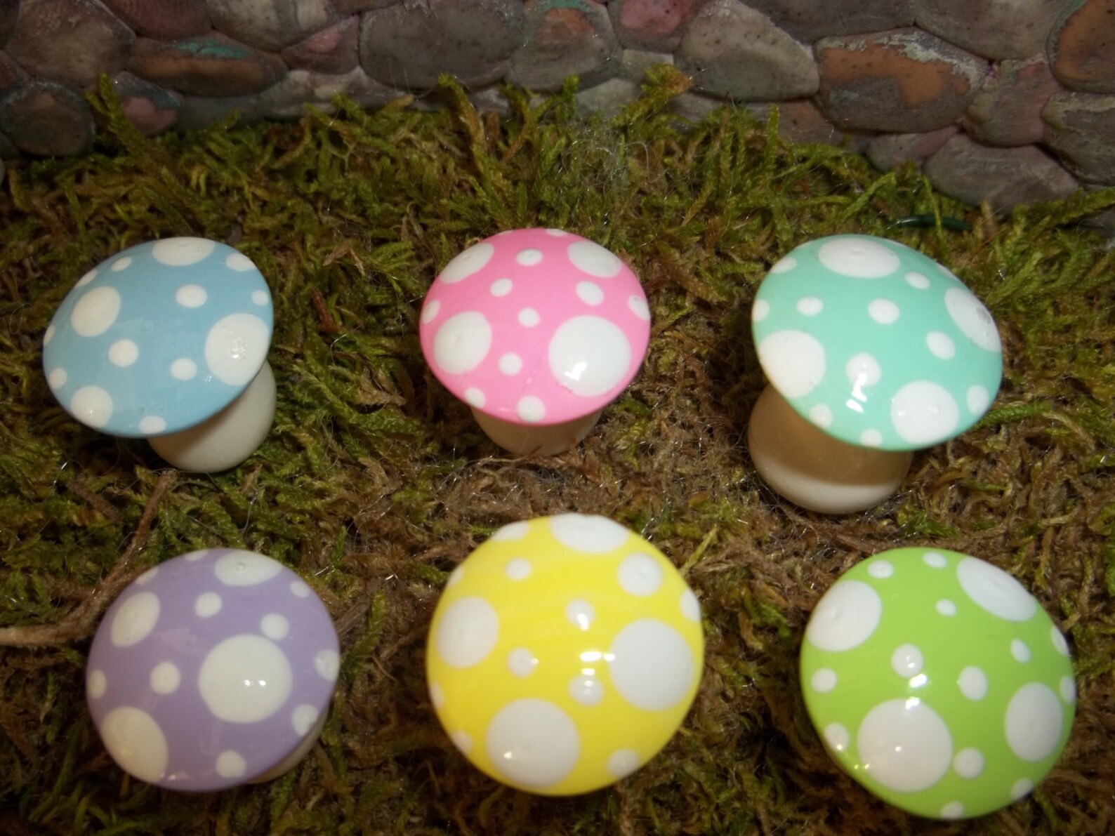 Mad Hatter Tea Party Favor Fairy Garden Mushrooms Set of 6 Short ...