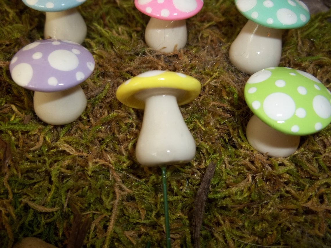 Mad Hatter Tea Party Favor Fairy Garden Mushrooms Set of 6 Short ...