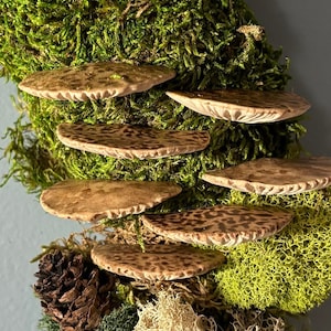 May include: A close-up of a decorative wreath featuring a variety of natural elements. The wreath includes several brown, spotted mushroom-shaped objects, green moss, and a pine cone. The background is a light blue.