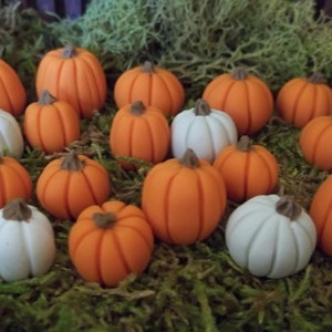 May include: A collection of miniature pumpkins in various sizes and colors. The pumpkins are primarily orange with brown stems, and a few are white. They are arranged on a bed of green moss, creating a seasonal, autumnal theme.