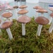 see more listings in the sets of 6-10 mushrooms section