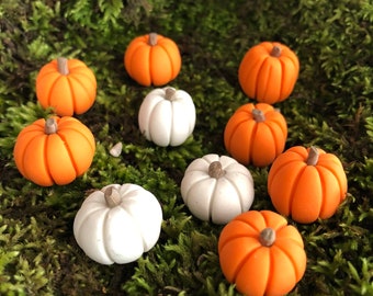 10 miniature thanksgiving autumn pumpkins fairy garden terrarium in orange and white terrarium miniature craft supply woodland dish garden
