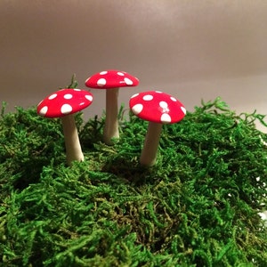 May include: Three decorative mushrooms with red caps and white polka dots are nestled in a bed of vibrant green moss. The mushroom stems are white. The scene evokes a whimsical, fairy-tale aesthetic.