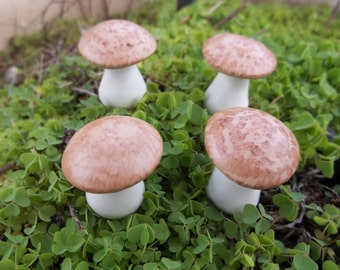 Terrarium accesorries Fairy garden mushrooms set of 4 short woodland  terrarium accessories garden toadstools woodland garden handmade