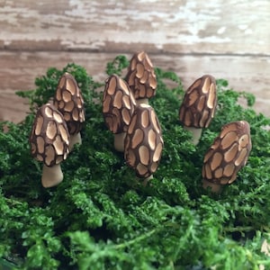 7 Terrarium mushrooms fairy garden Morel mushrooms handmade clay woodland  wedding favors container garden picks morrel morell wild mushroom