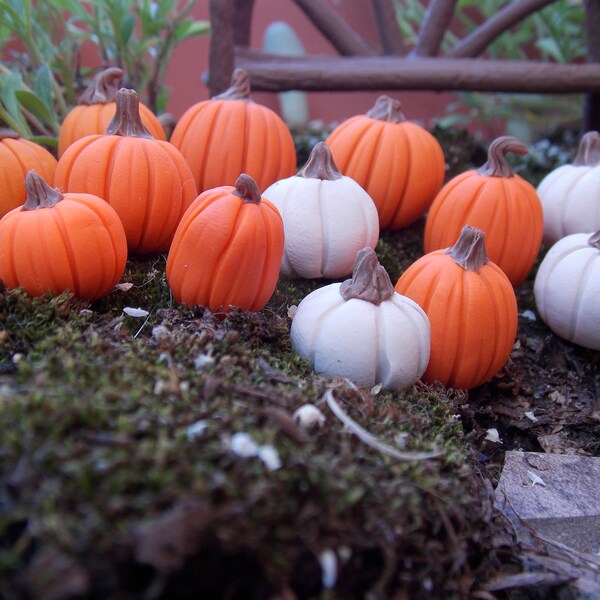 Fairy Garden Planter Etsy