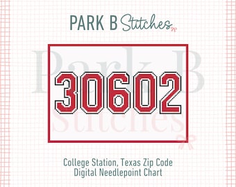 Georgia 30602 Needlepoint Chart | Athens GA College Zip Code Pattern | 18 Mesh Graduation Gift
