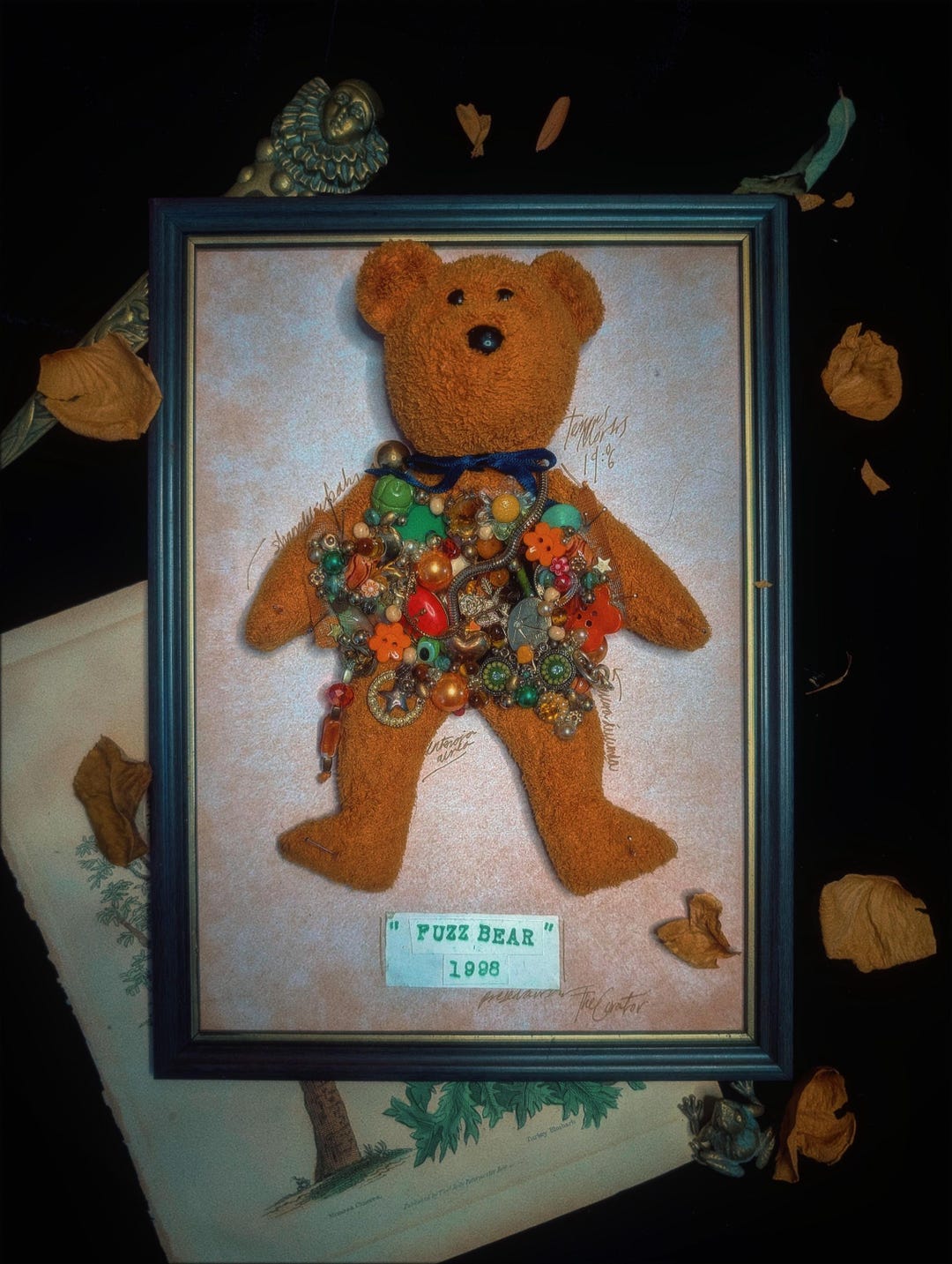 Plush Teddy Dissection Display Art Piece - Etsy