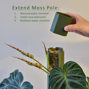 May include: An olive green cylindrical moss pole with a removable water chamber top. Text reads: Extend Moss Pole: 1. Remove water chamber 2. Install new extension 3. Reattach water chamber. A plant with large dark green leaves is attached to the pole.