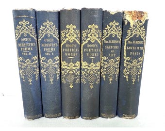 Colección antigua de poesía victoriana, 6 volúmenes, Owen, Meredith, Hood, Jameson, década de 1860, encuadernación en azul dorado.