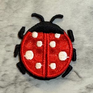 Lady Bug Patch