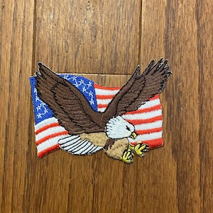 American Flag and Eagle Iron On Patch