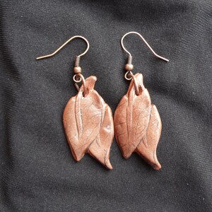 May include: A pair of brown leaf-shaped earrings with copper-toned hooks.