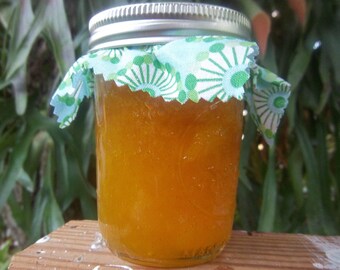 Pumpkin Spiced Mango Jam (contains NO pumpkin)