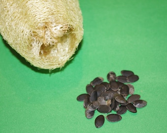 Loofa seeds (Luffa/Loofah)