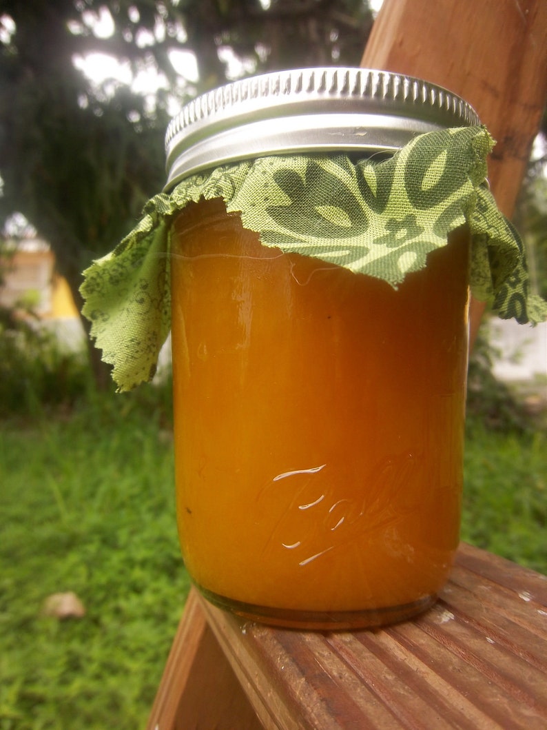 Mango Bourbon Jam Etsy