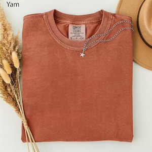 May include: A folded, terracotta-colored t-shirt with a Comfort Colors tag. A silver necklace with a star pendant rests on the shirt. A tan hat is partially visible in the background. Dried wheat stalks are on the left.
