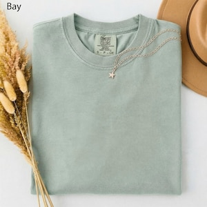 May include: A light green Comfort Colors t-shirt with a star pendant necklace. The shirt has a crew neck and a tag that reads "Comfort Colors". A brown hat and dried flowers are in the background.