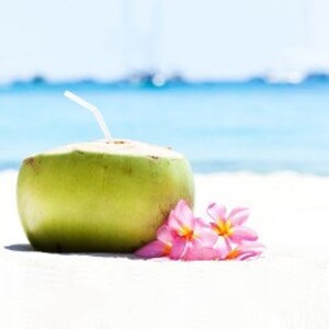 Caribbean Coconut  Whipped Body Butter