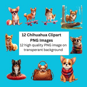 May include: A set of 12 Chihuahua clipart PNG images on a transparent background. The images depict various Chihuahuas in different poses, including one wearing sunglasses, another on a skateboard, and one in a handbag. The text reads "12 Chihuahua Clipart PNG Images".