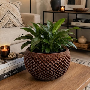 May include: A round, dark brown planter with a textured, diamond-shaped lattice pattern on the exterior. The planter holds a lush, green peace lily plant with broad, pointed leaves that extend outward from the center of the container.