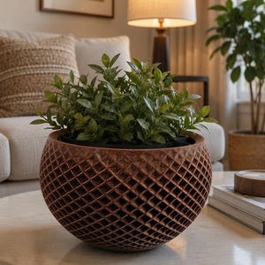 May include: A spherical planter with a textured, diamond-patterned exterior in a deep bronze-brown finish. The planter contains a lush, green leafy plant with small, pointed foliage that fills the top opening, creating a dense and vibrant display.