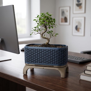 Puede incluir: Un pequeño bonsái verde plantado en una maceta rectangular de color azul oscuro con un patrón geométrico de estrellas recortadas. La maceta se apoya sobre una base clara de cuatro patas y descansa sobre una superficie de madera oscura.