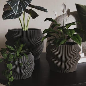 May include: Three dark gray planters with a distinct vertical ribbed, wavy texture. Each planter holds a different green houseplant, including one with large dark leaves, one with trailing foliage, and one with white peace lily flowers.