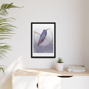 Puede incluir: Impresión artística enmarcada que presenta un colibrí con plumaje iridiscente azul, morado y verde. El ave está posada en una rama sobre un fondo suave y apagado. La obra de arte se presenta en un marco negro, ideal para cualquier interior.