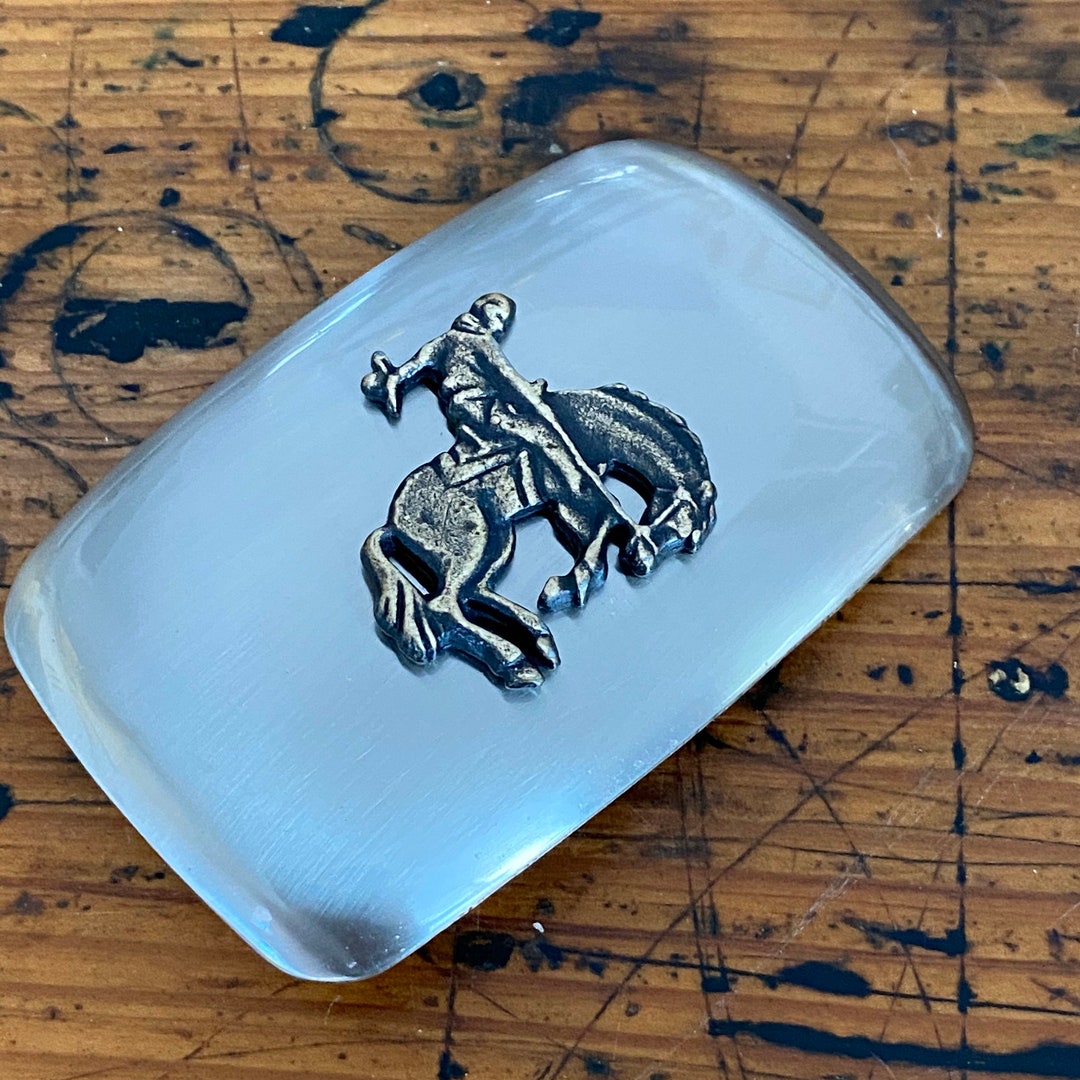 Fibbia per cintura con toro e orso in bronzo da cowboy