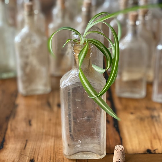 Vintage Glass Rx bottle with cork stopper-ONE bottle - small glass bottles - chemistry jars - medical jars -