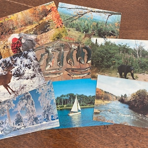 Postal vintage - Elige tu estilo - Caza - Pesca - Naturaleza - Postales de los años 80 - Postales en blanco