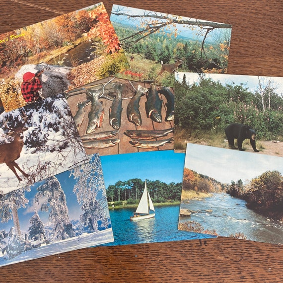 Vintage Postcard -Choose style-  Hunting - Fishing -Nature-  1980's postcards - Blank postcards