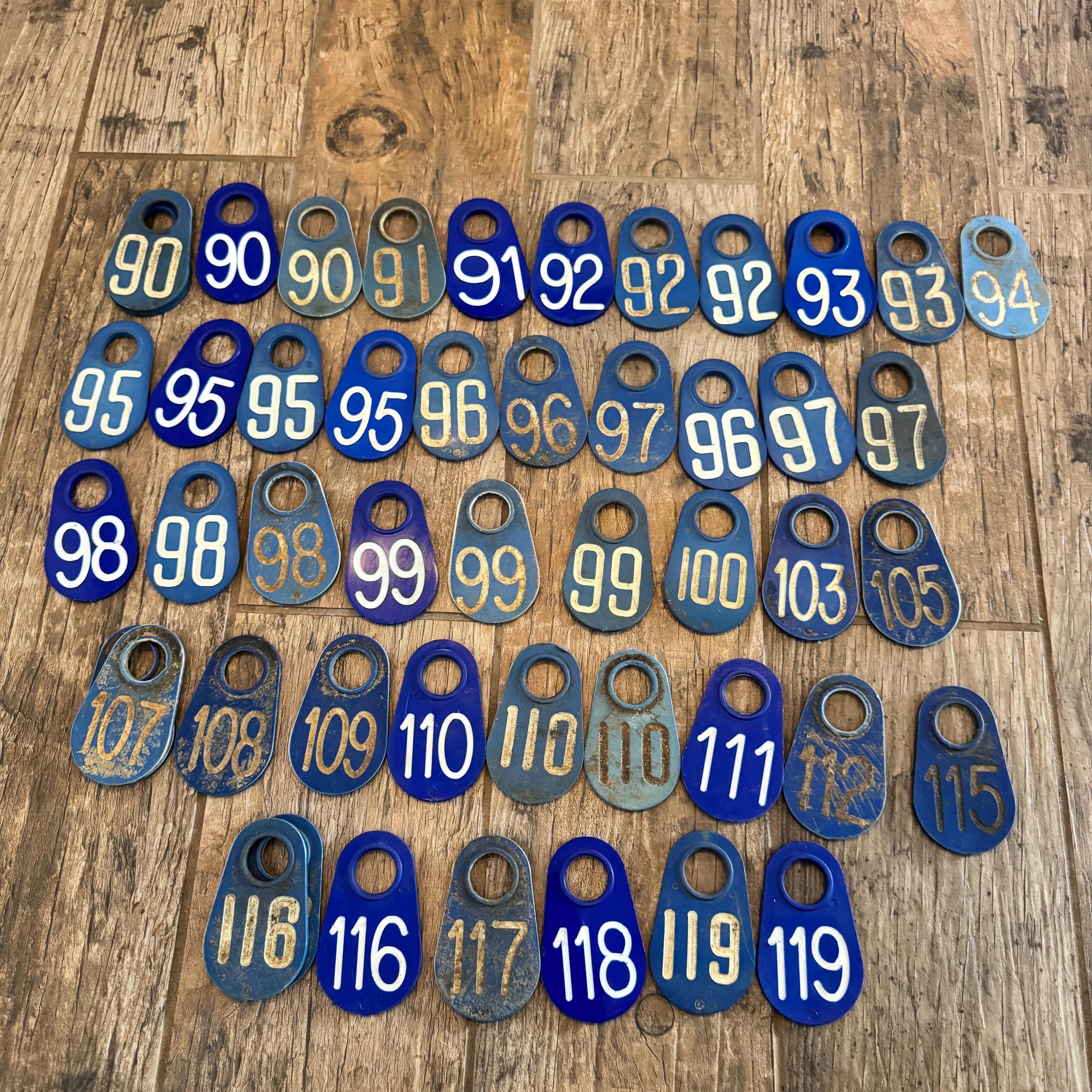 Vintage blue plastic cow tag  -antique plastic livestock ID tag – plastic bull tag – cattle tag – industrial number -