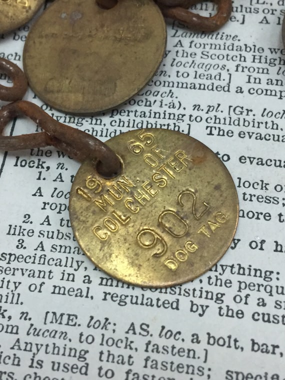 VintageBrass dog tax tag colchester england -  dog tax 1965 - dog id tag - gold tag - dog tax - brass dog tag