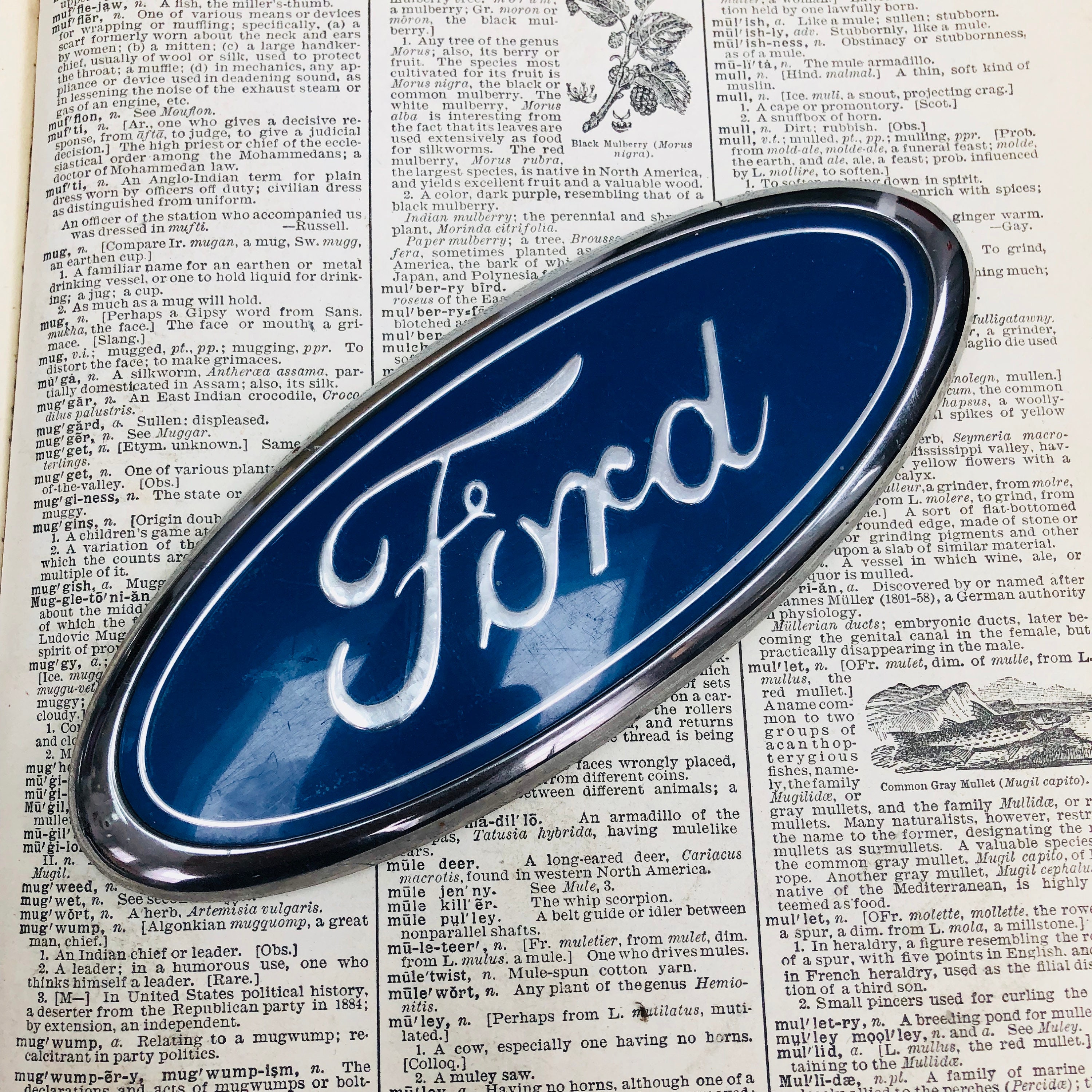 Vintage Ford blue oval car hood ornament - classic car - auto emblem