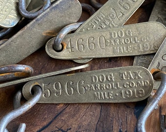 vintage Brass dog tax tag Carroll county MD- taxe sur les chiens 1919 - Plaque d’identité pour chien mâle ou femelle - plaque d’identité pour chien d’or - taxe sur les chiens - plaque d’identité en laiton